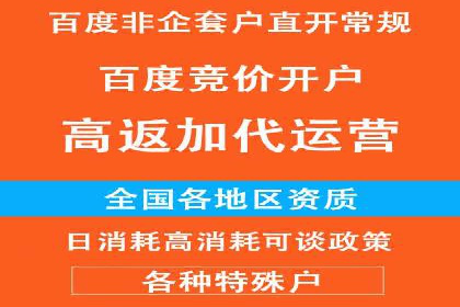 百度竞价排名之成功案例：看广告如何转化为销量